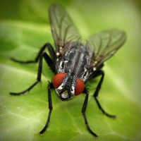 /album/mayda-venturita-/photolia-a01-jpg/