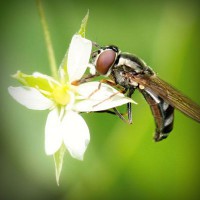 /album/mayda-venturita-/photolia-a02-jpg/