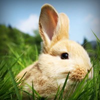 /album/mayda-venturita-/photolia-a03-jpg/