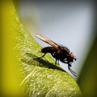 /album/mayda-venturita-/photolia-a04-jpg/