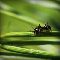 /album/mayda-venturita-/photolia-a05-jpg/