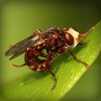 /album/mayda-venturita-/photolia-a06-jpg/