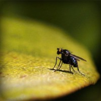 /album/mayda-venturita-/photolia-a07-jpg/