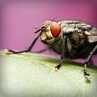 /album/mayda-venturita-/photolia-a08-jpg/